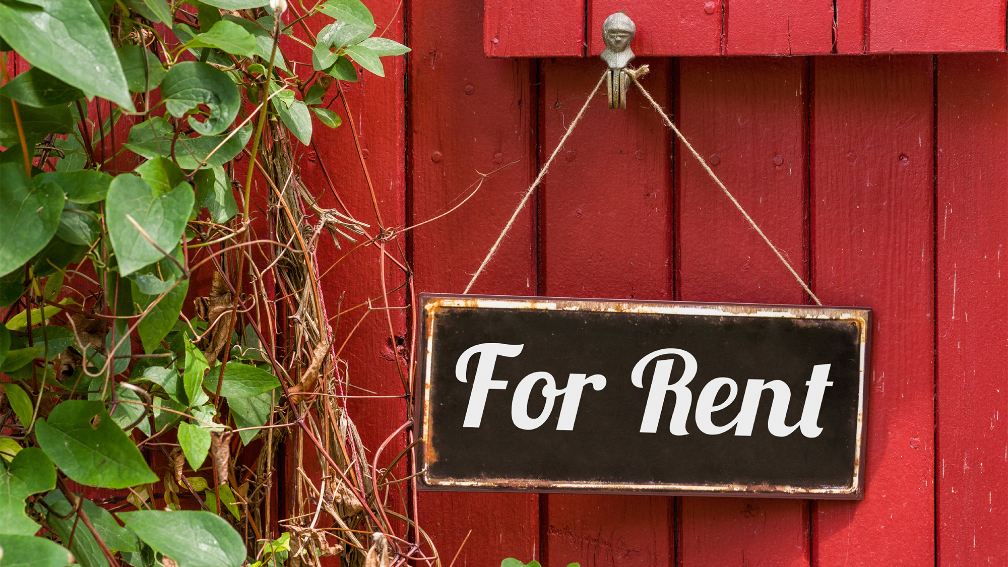 for-rent-wood-house